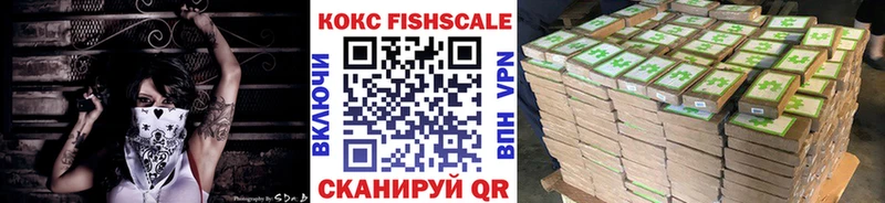 продажа наркотиков  Жердевка  COCAIN Эквадор 
