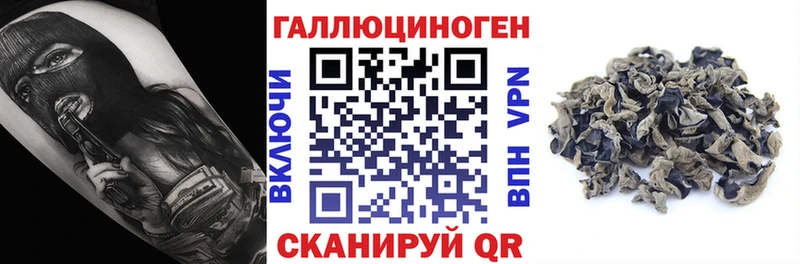 KRAKEN tor  Жердевка  Псилоцибиновые грибы Cubensis 